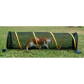 Fun Run Pet Play Tunnel