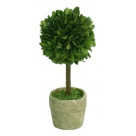 Boxwood Single Mini Topiary in Pot          (Set of 4)