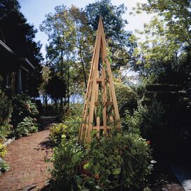 Obelisk in Cedar