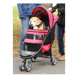 Travel Safety Pet Carrier