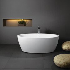 even the free standing bathtubs from last year's show, are again new home improvement products with integrated, radiant heat