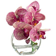 Furniture & Home Decor Search: Orchid Glass Vase | Wayfair