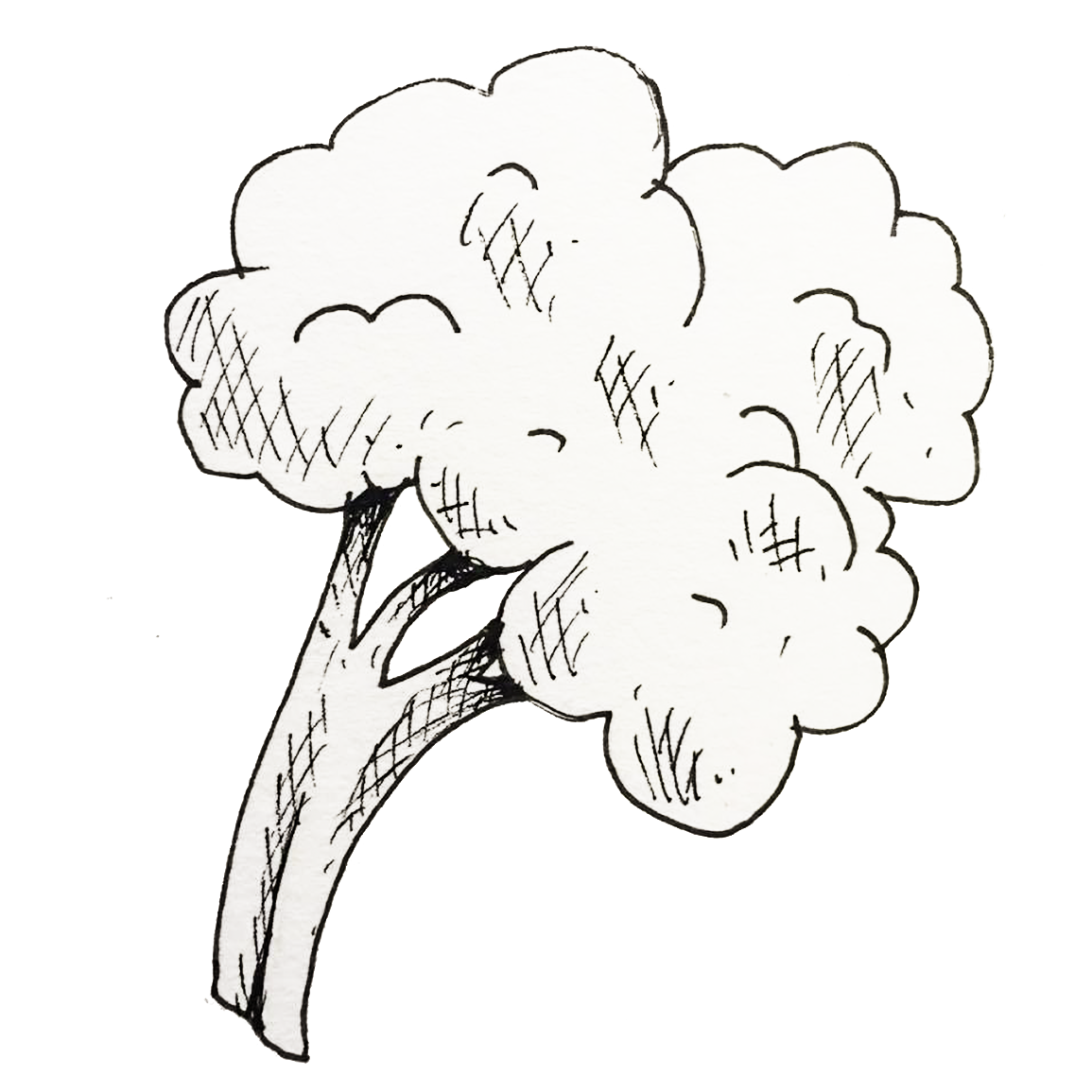 Raised Garden Beds & Elevated Planters You'll Love in 2021 Wayfair.ca