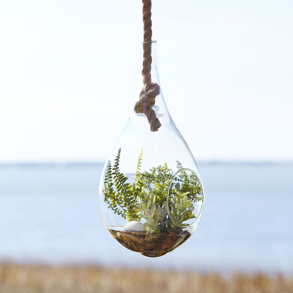 Birch Lane Hanging Terrarium, Faux Fern Birch Lane