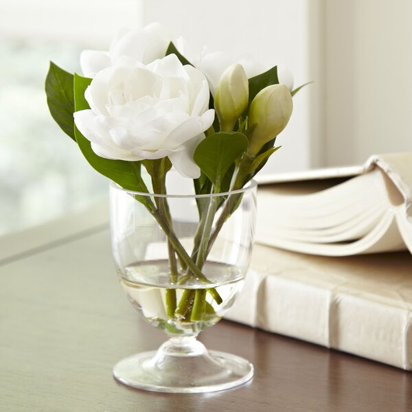 Birch Lane Faux Gardenia in Glass Vases Birch Lane