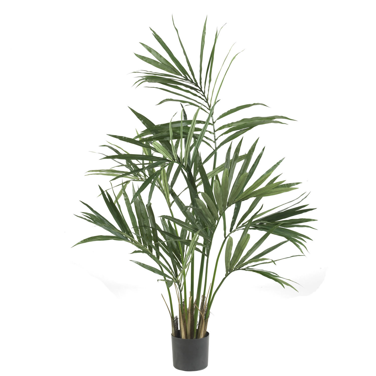 Nearly Natural Kentia Palm Tree in Pot & Reviews Wayfair