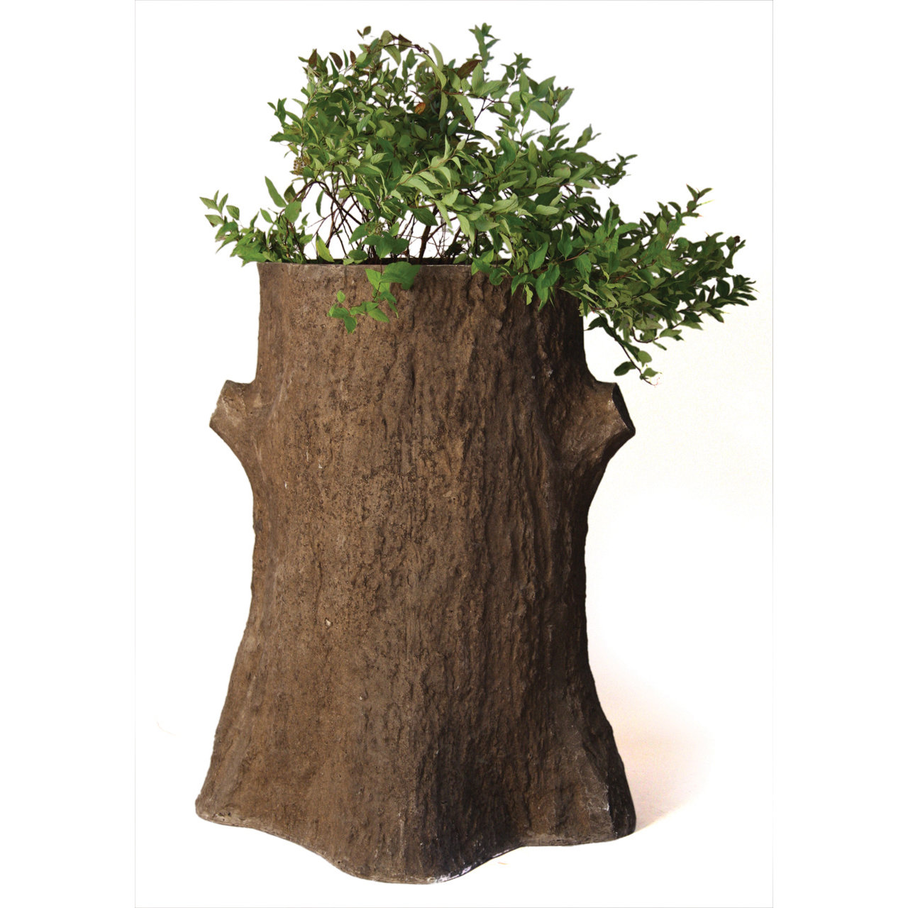 OrlandiStatuary Tree Trunk Planter Planter & Reviews Wayfair