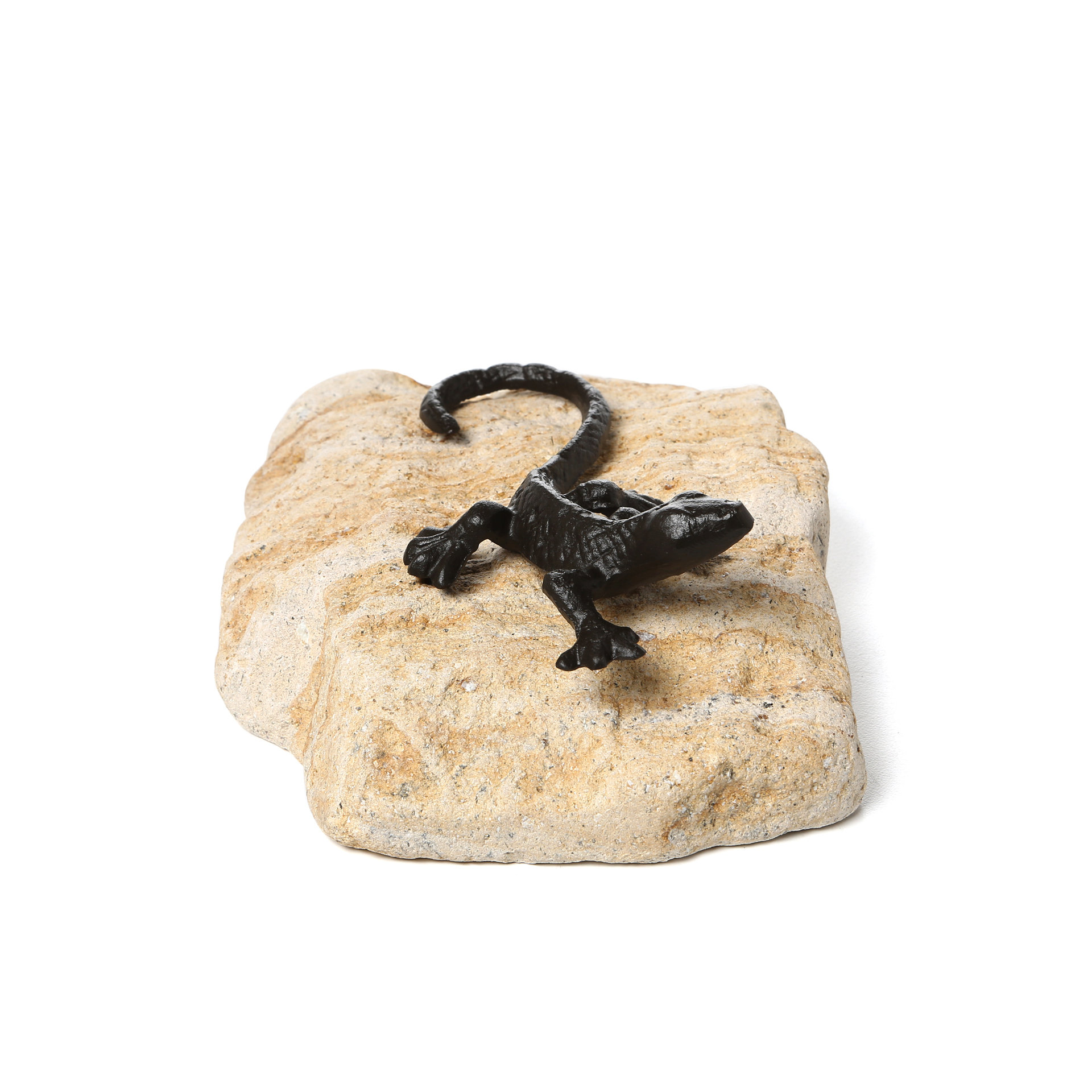 Design Toscano Sun Bathing Lizard Garden Statue & Reviews Wayfair