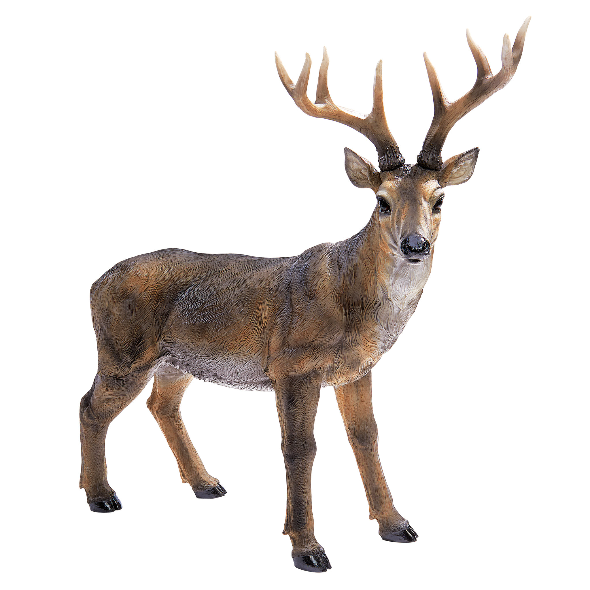 Design Toscano Big Rack Buck Deer Statue & Reviews Wayfair