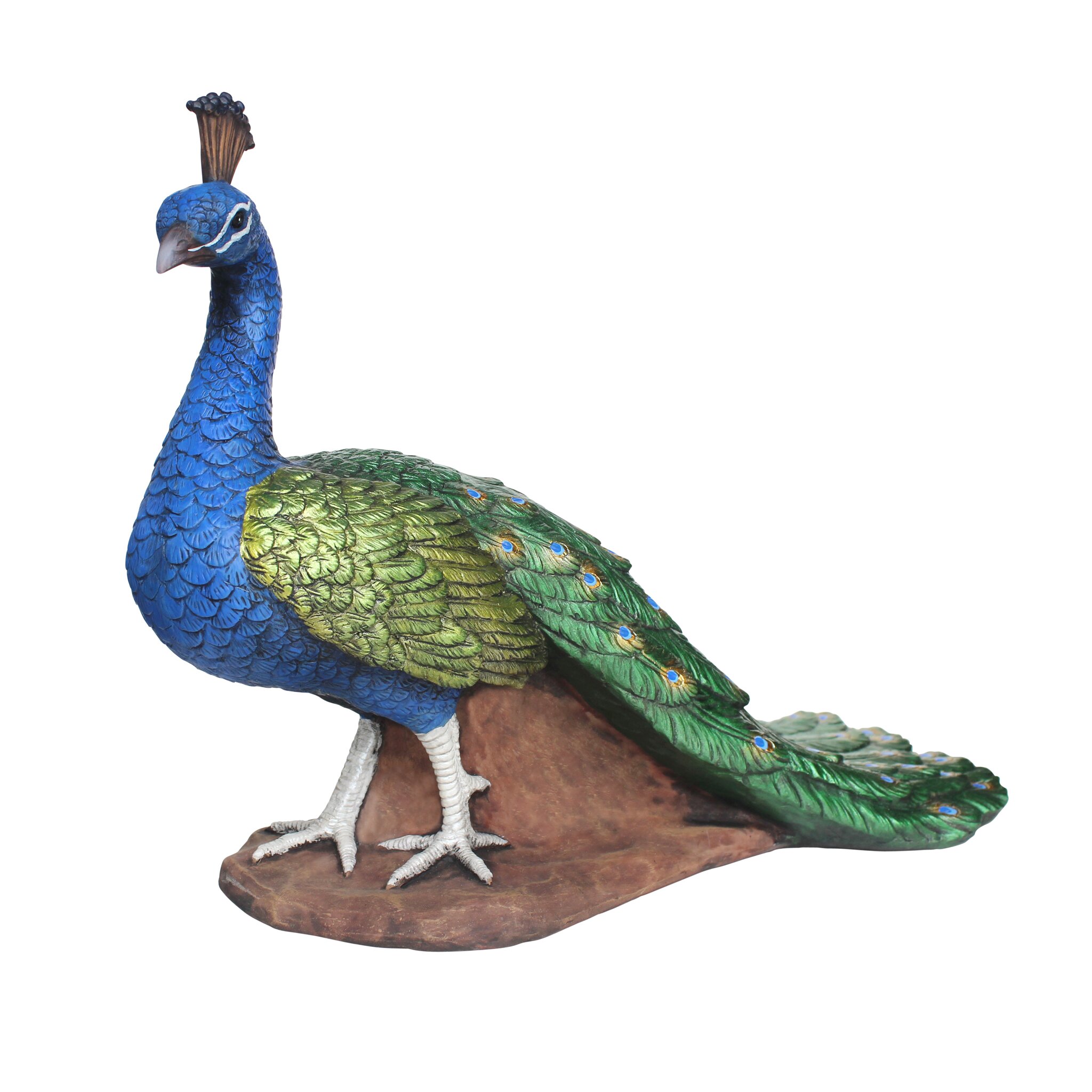 Design Toscano The Regal Peacock Garden Statue & Reviews | Wayfair