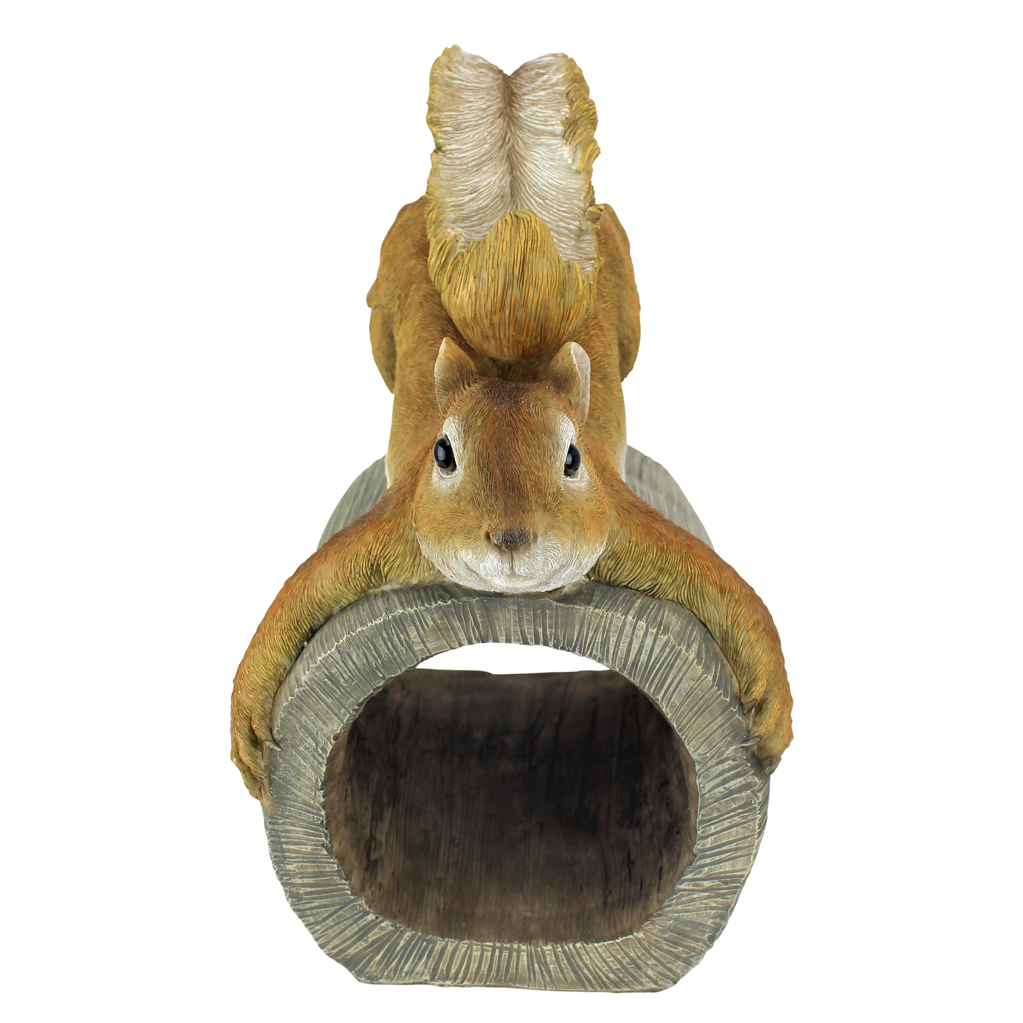 Crash the Squirrel Gutter Guardian Downspout Statue Wayfair