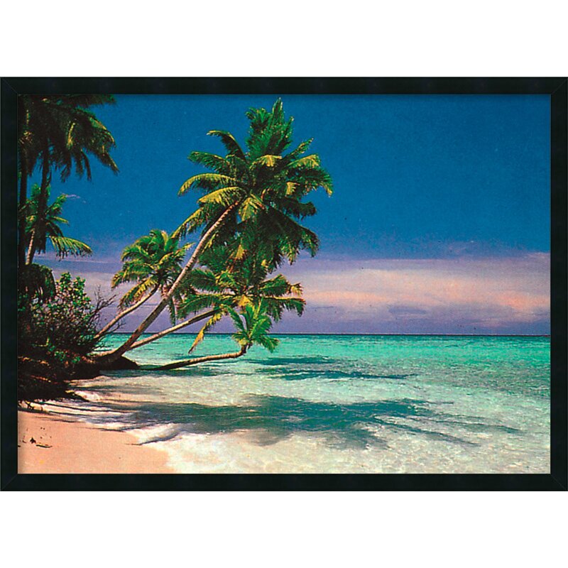 Amanti Art Tropical Beach by Anonymous Framed Painting Print & Reviews ...