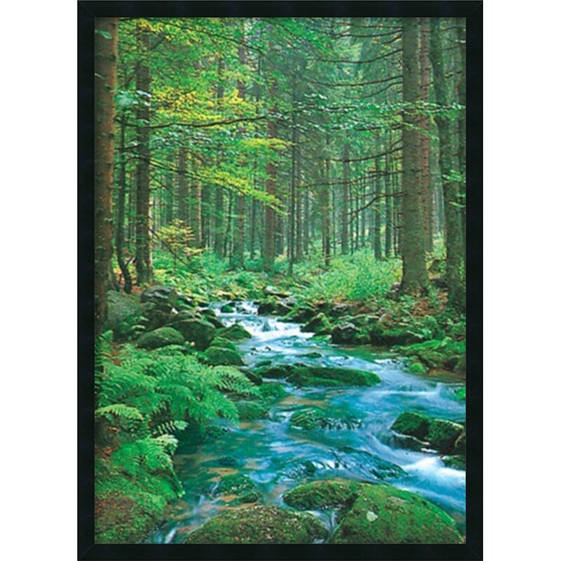 Forest Creek Framed Painting Prints | Wayfair