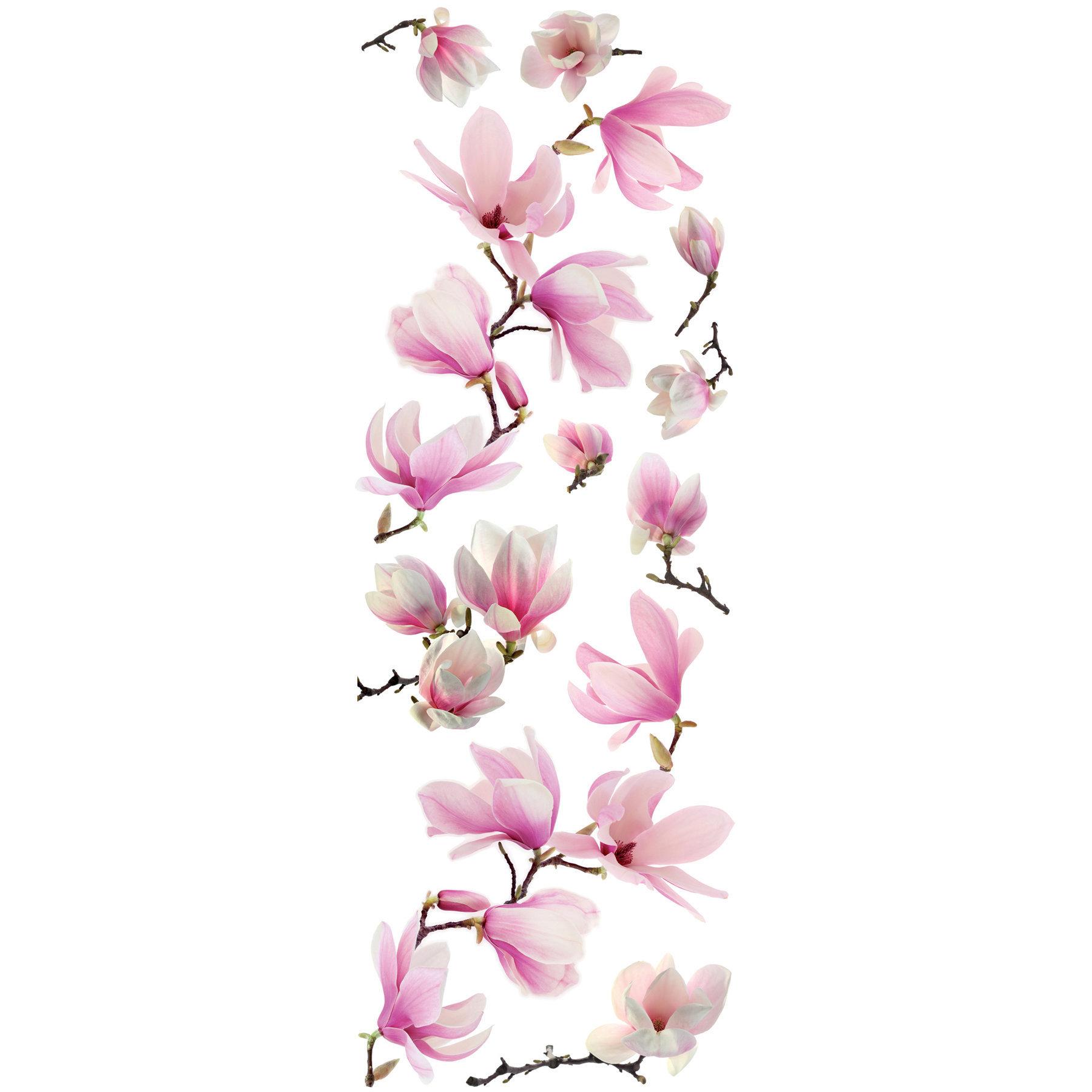 Magnolia 10 Piece Wall Decal Set Wayfair