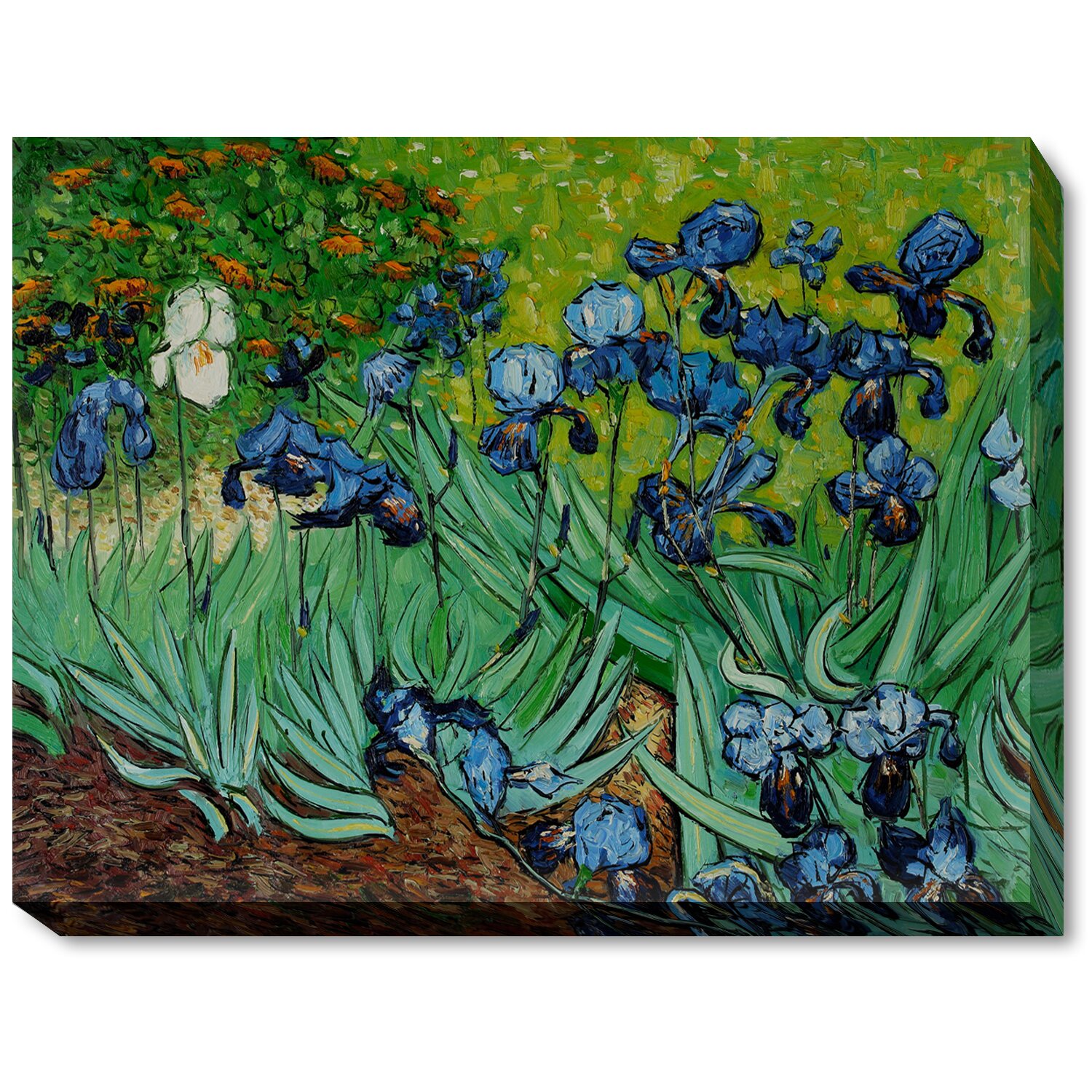 Irises by Vincent Van Gogh Framed Original Painting | Wayfair