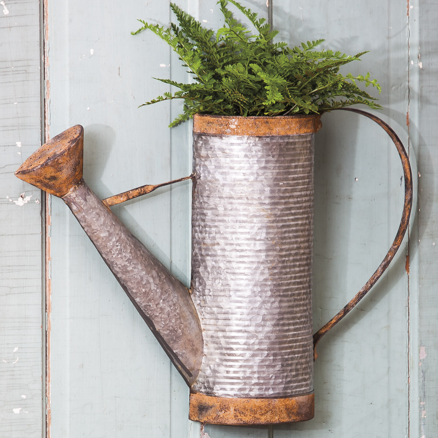 Vintage Watering Can Wall Décor Wayfair
