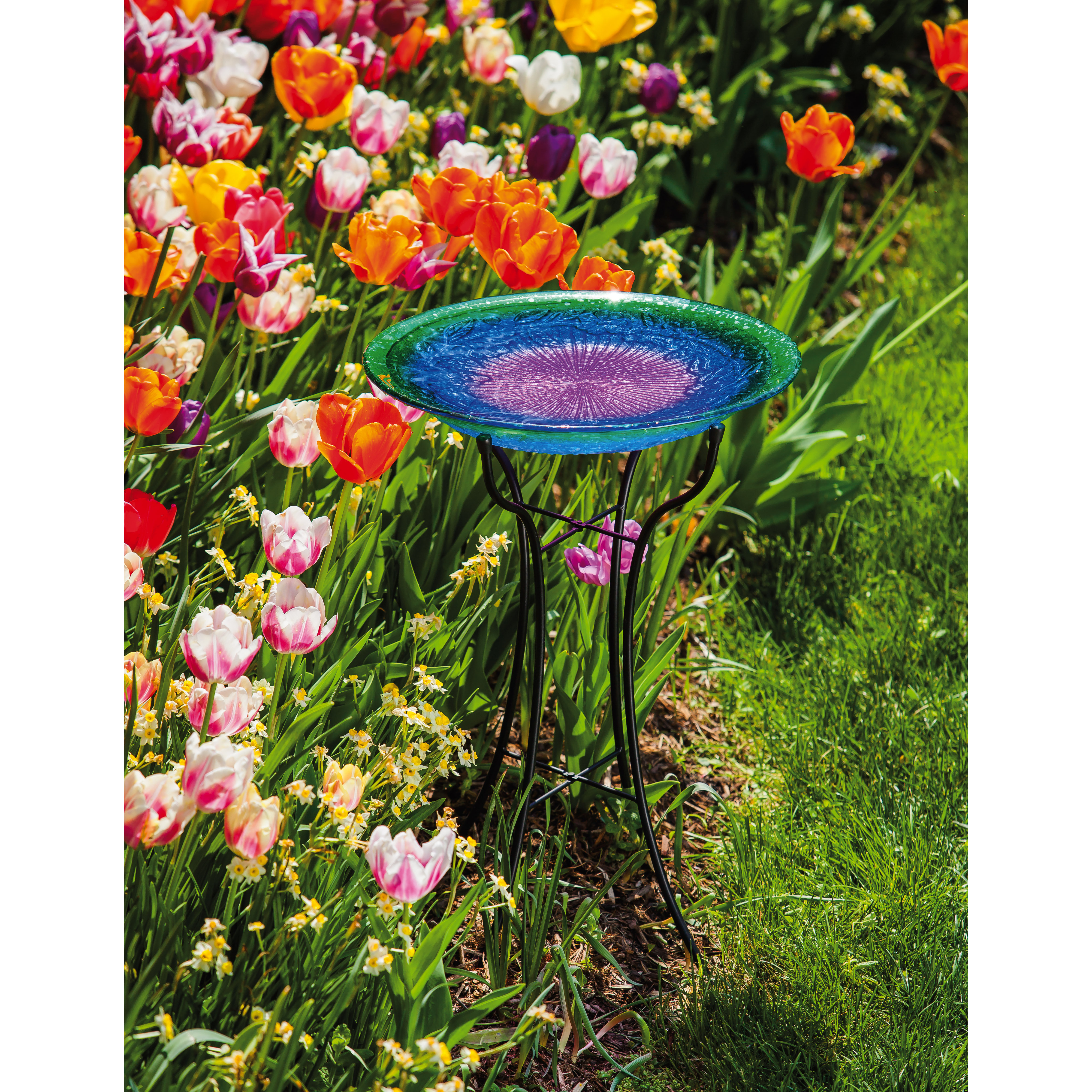 Evergreen Enterprises, Inc Sunset Glass Bird Bath with Stand & Reviews