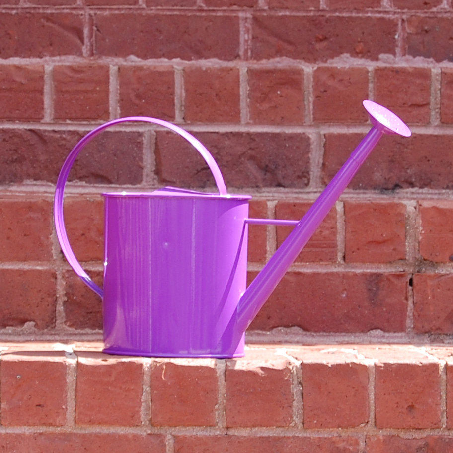 Griffith Creek Designs Metal 1 Gallon Watering Can with Long Spout