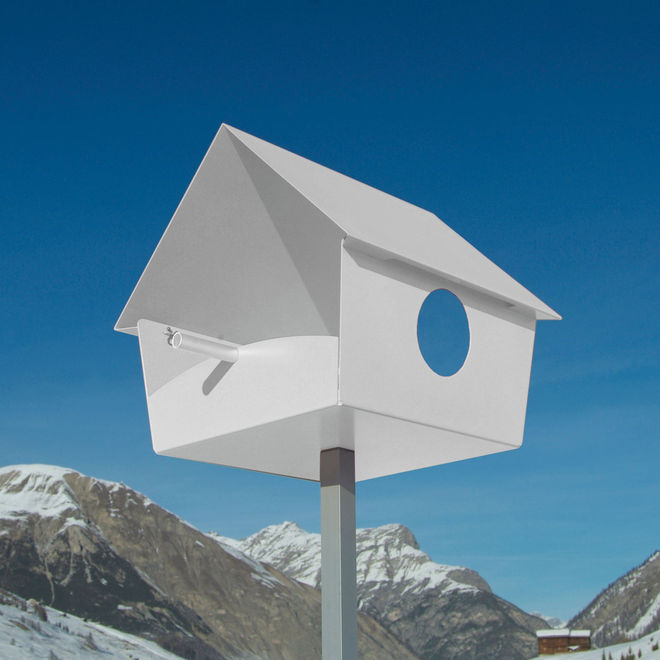 Piep Show XXL Bird House Wayfair