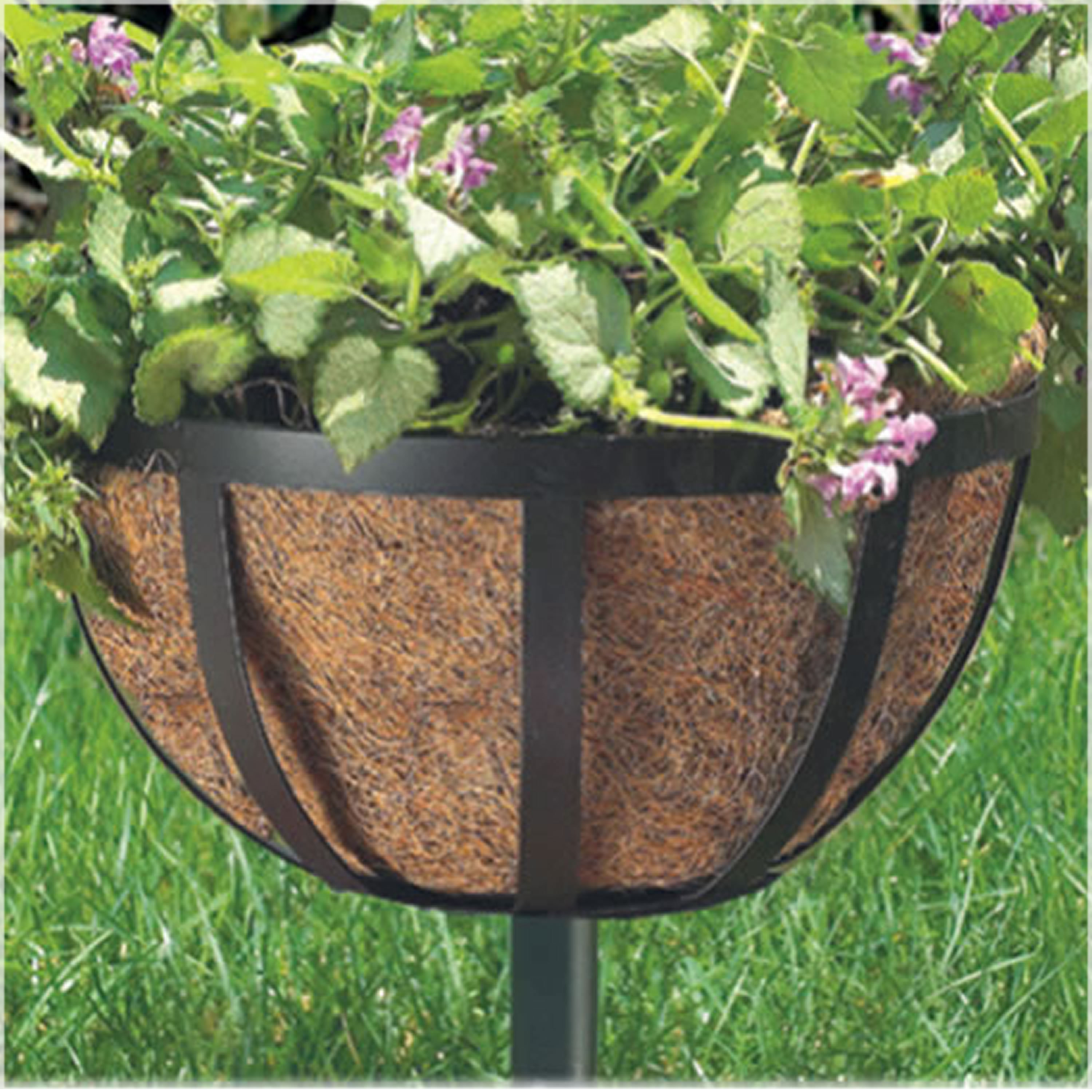 Novelty Stake Wayfair