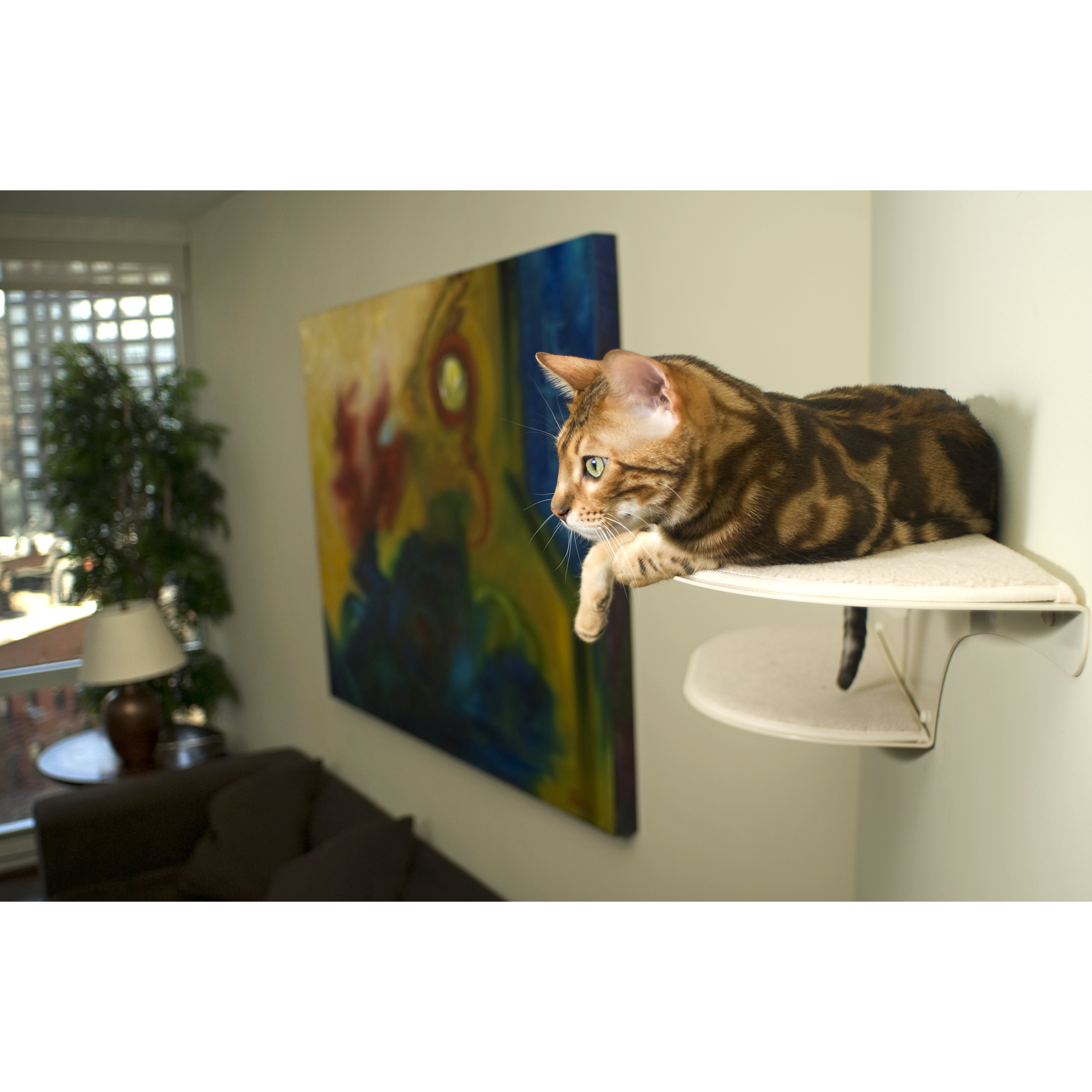 The Refined Feline Clouds Wall Mounted Cat Perch & Reviews Wayfair