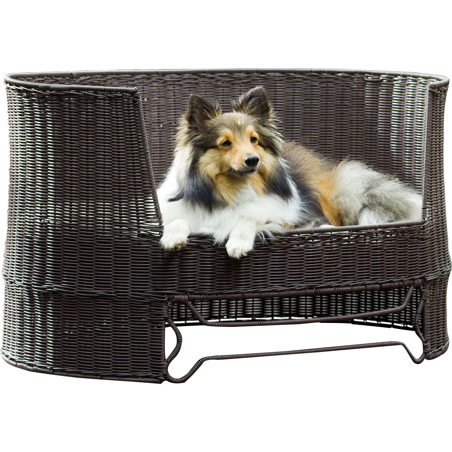The Refined Canine Dog Day Bed with Outdoor Cushion & Reviews Wayfair