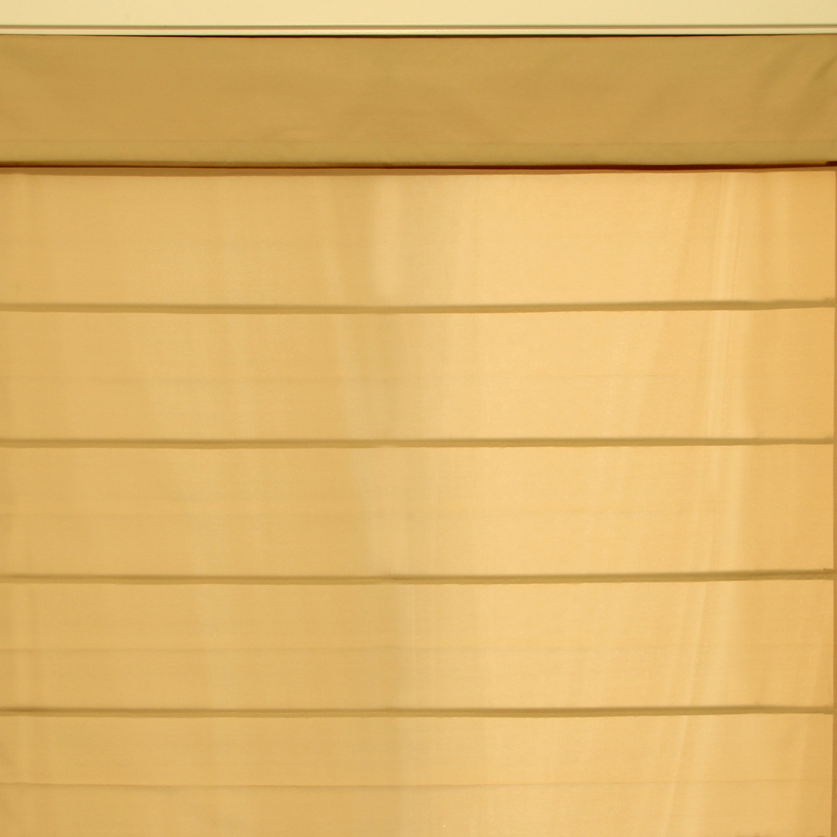 Chicology Cordless Roman Shade & Reviews Wayfair