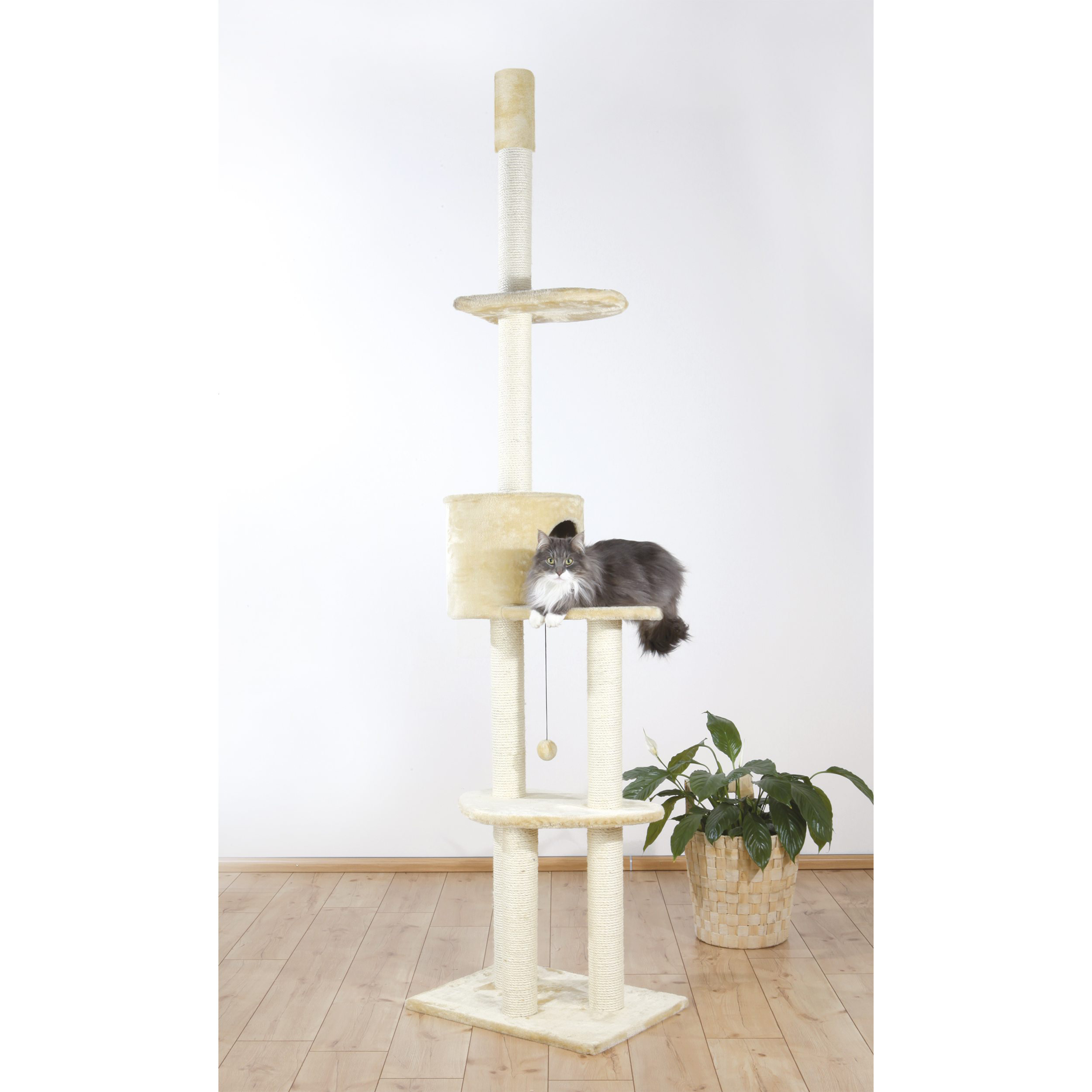 Trixie 110" Santiago Adjustable Cat Tree & Reviews Wayfair