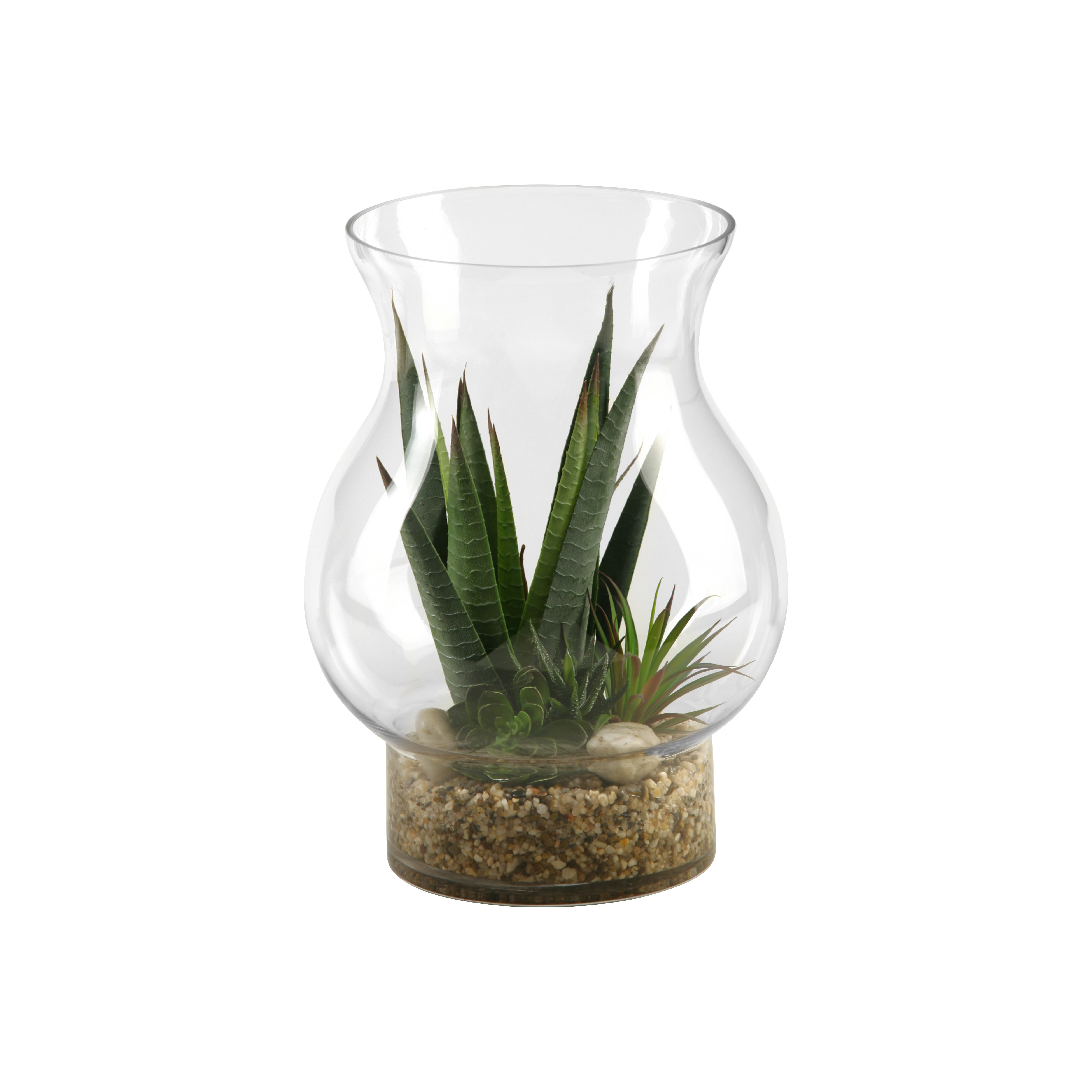 Stripped Agave and Aloe Desk Top Plant in Vase Wayfair