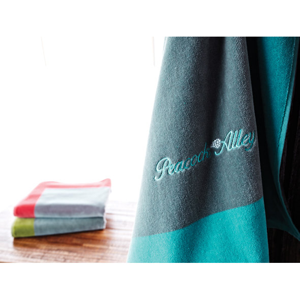 Soleil Beach Towel Wayfair