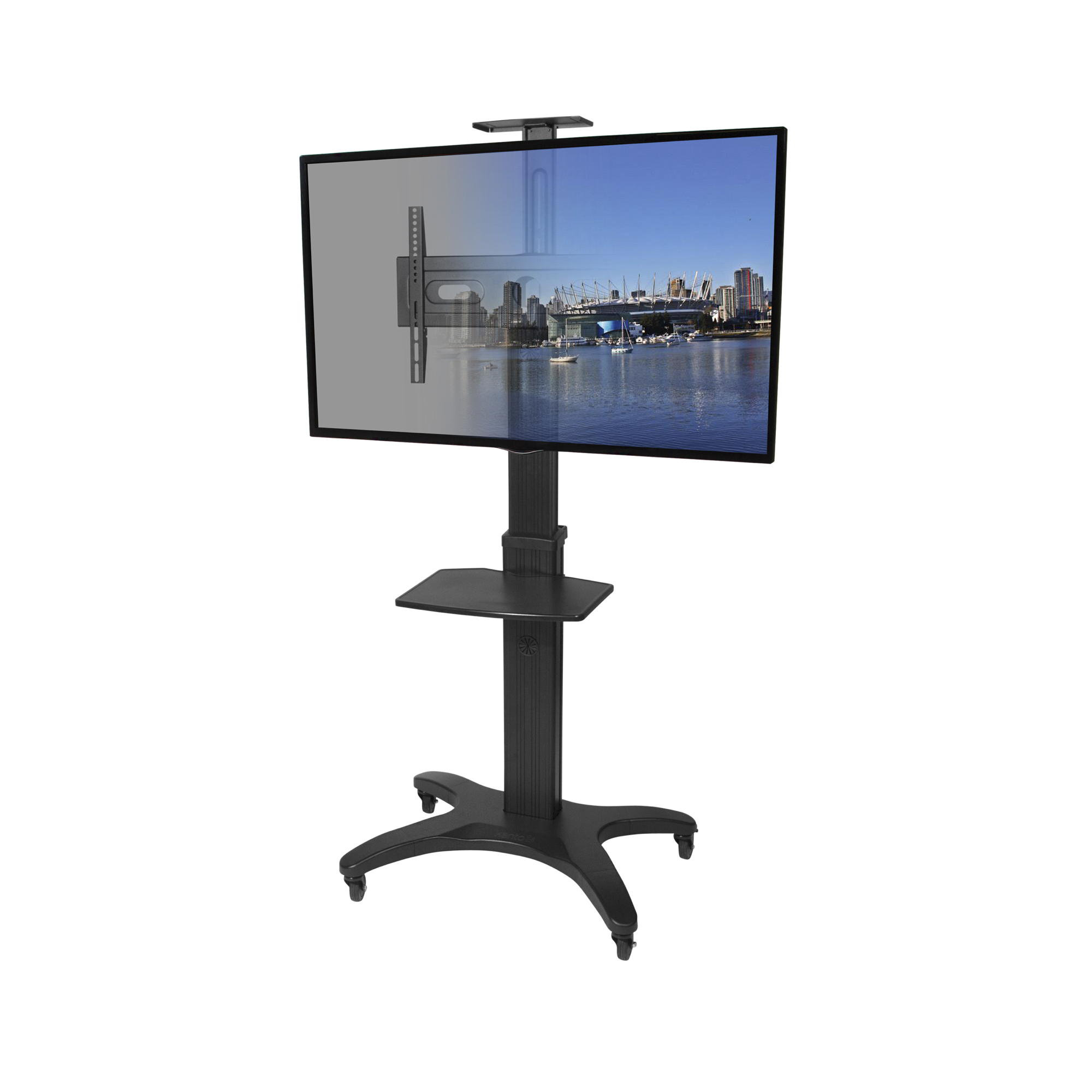 Mobile TV Mount 32"55" Floor Stand Wayfair