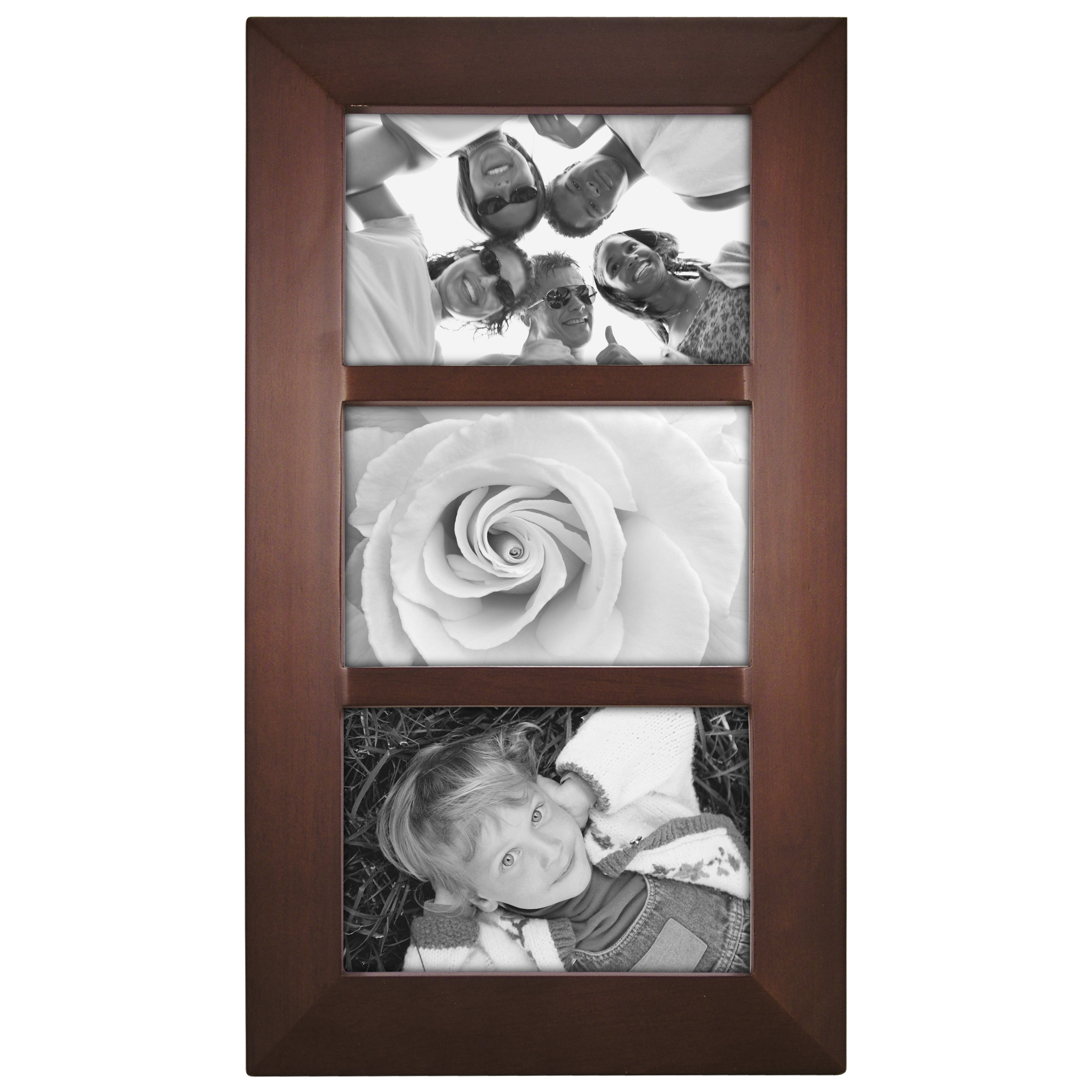 Malden Berkeley 3Opening Picture Frame & Reviews Wayfair