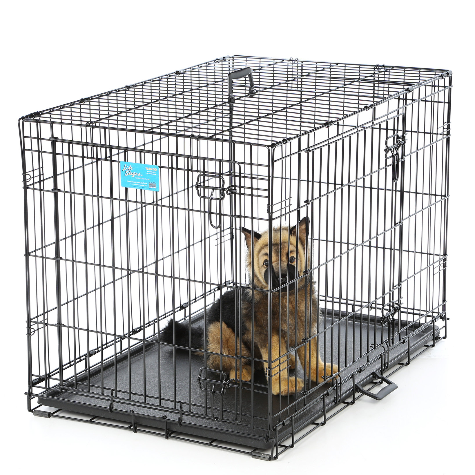 Midwest Homes For Pets Life Stages Fold & Carry Double Door Pet Crate