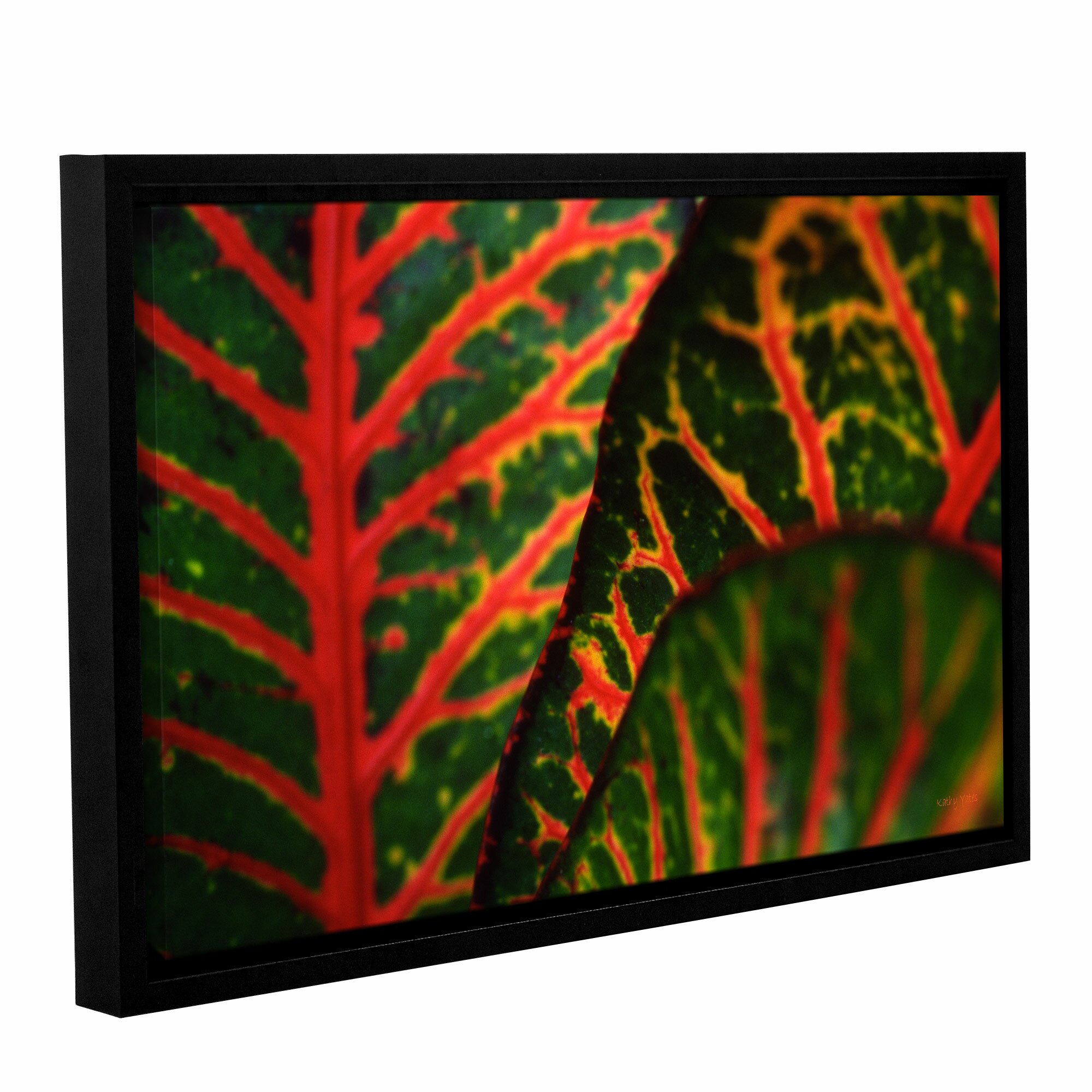 Croton Abstract by Kathy Yates Floater Framed Photographic Print on