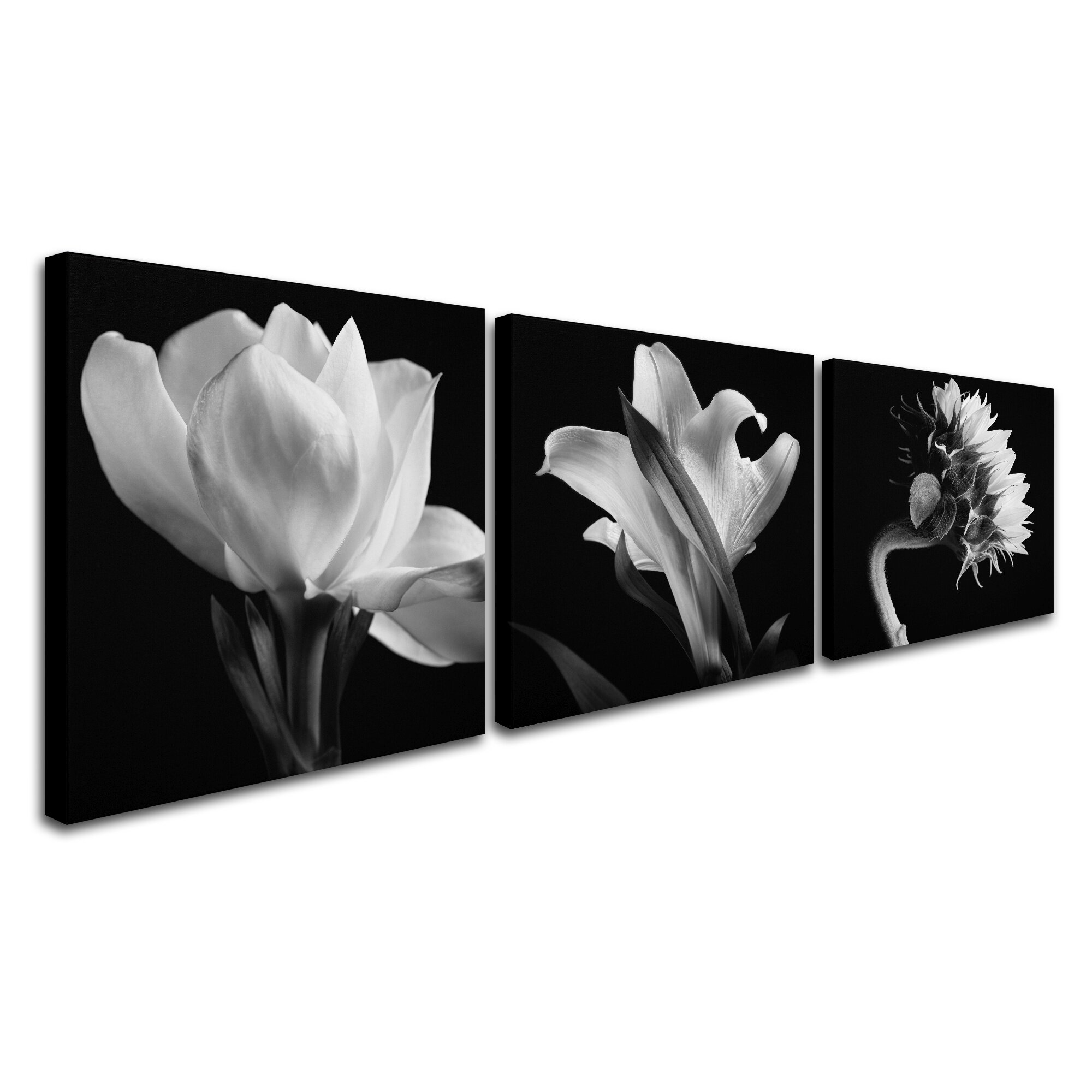 Trademark Art 'Flower Triptych' by Michael Harrison 3 Piece ...