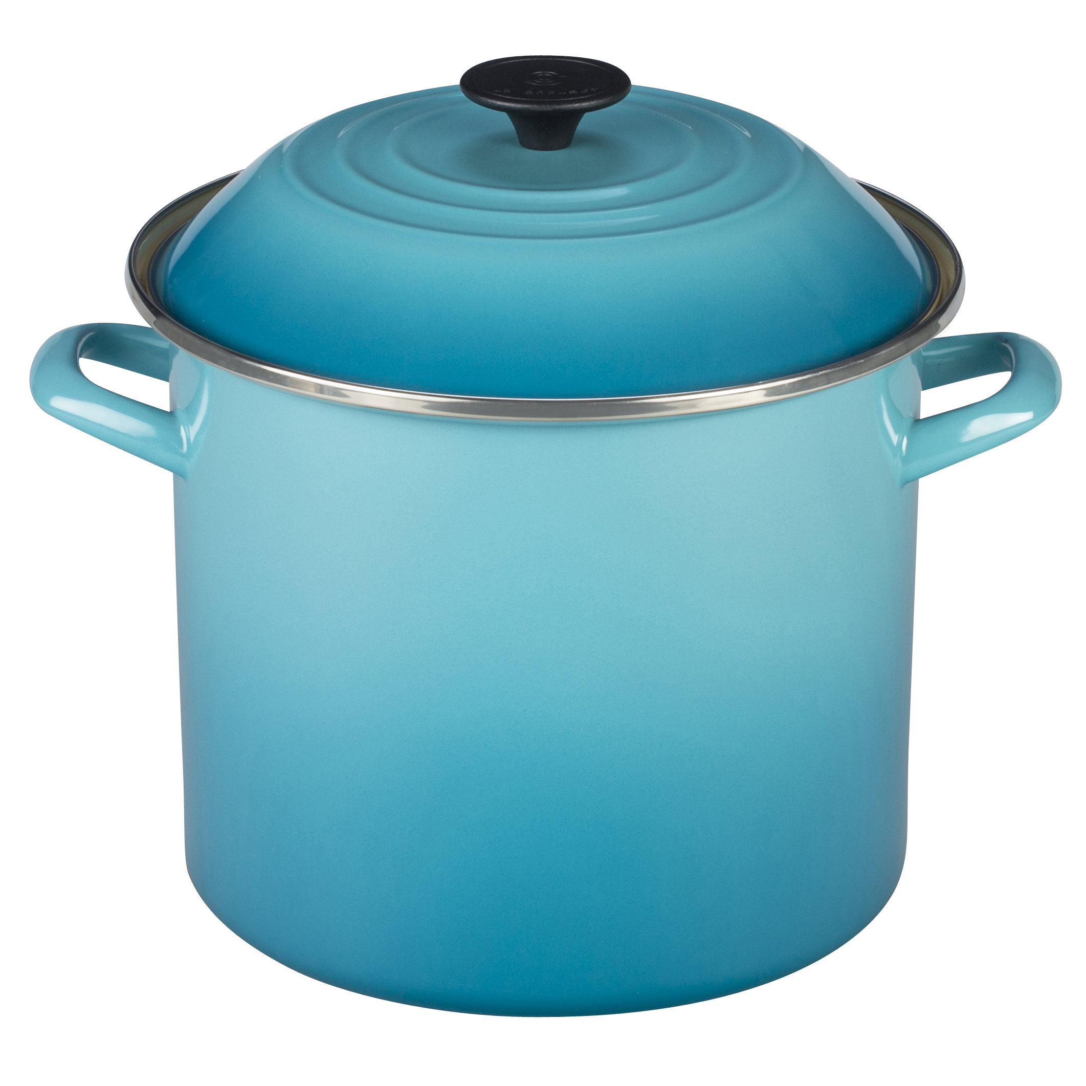 Le Creuset Enamel On Steel Stock Pot with Lid & Reviews Wayfair