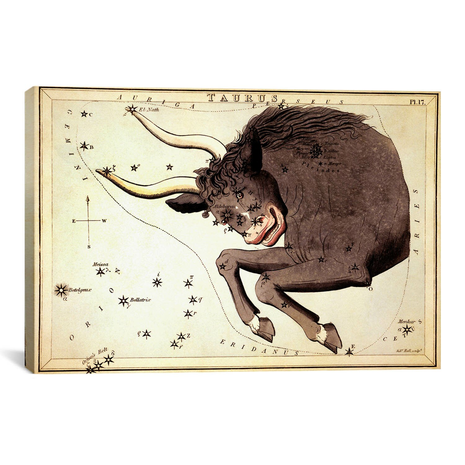 Taurus Constellation ll Canvas Wall Art by Sidney Hall by iCanvas