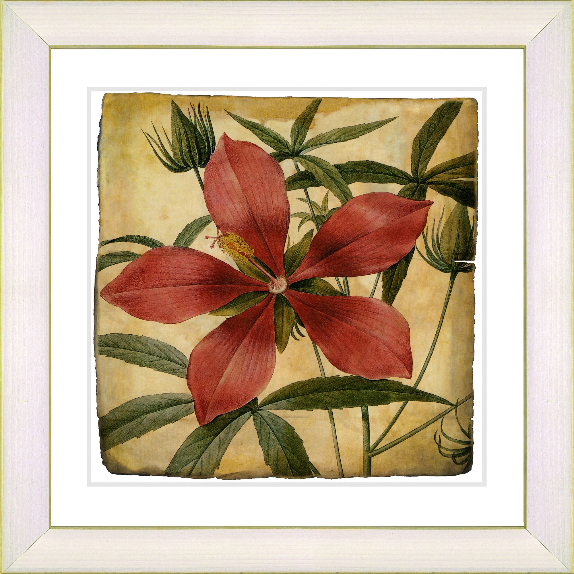 Vintage Botanical No. 22A by Zhee Singer Framed Giclee Print Fine Wall