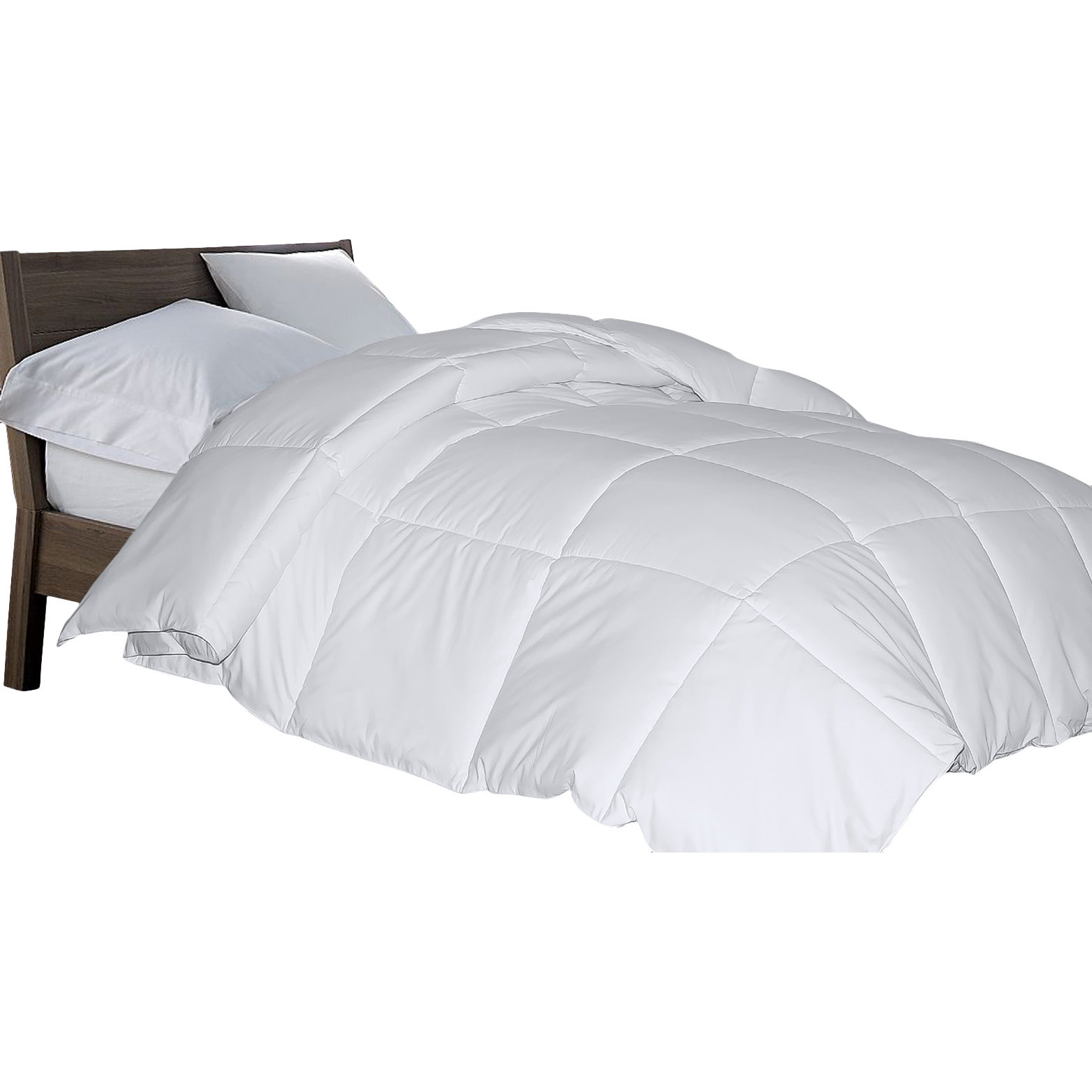 Wayfair Basics Wayfair Basics Down Alternative Comforter & Reviews