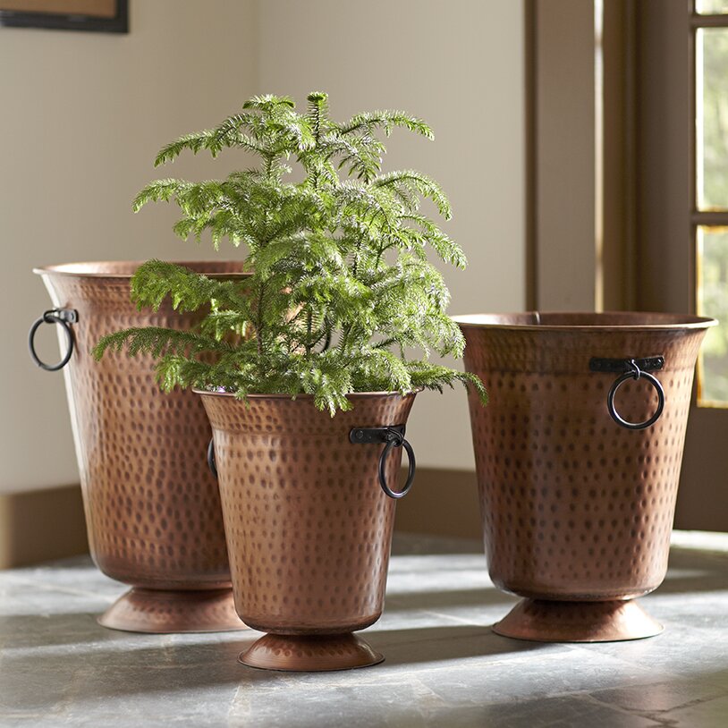 Birch Lane Hammered Copper Planters Birch Lane 6488