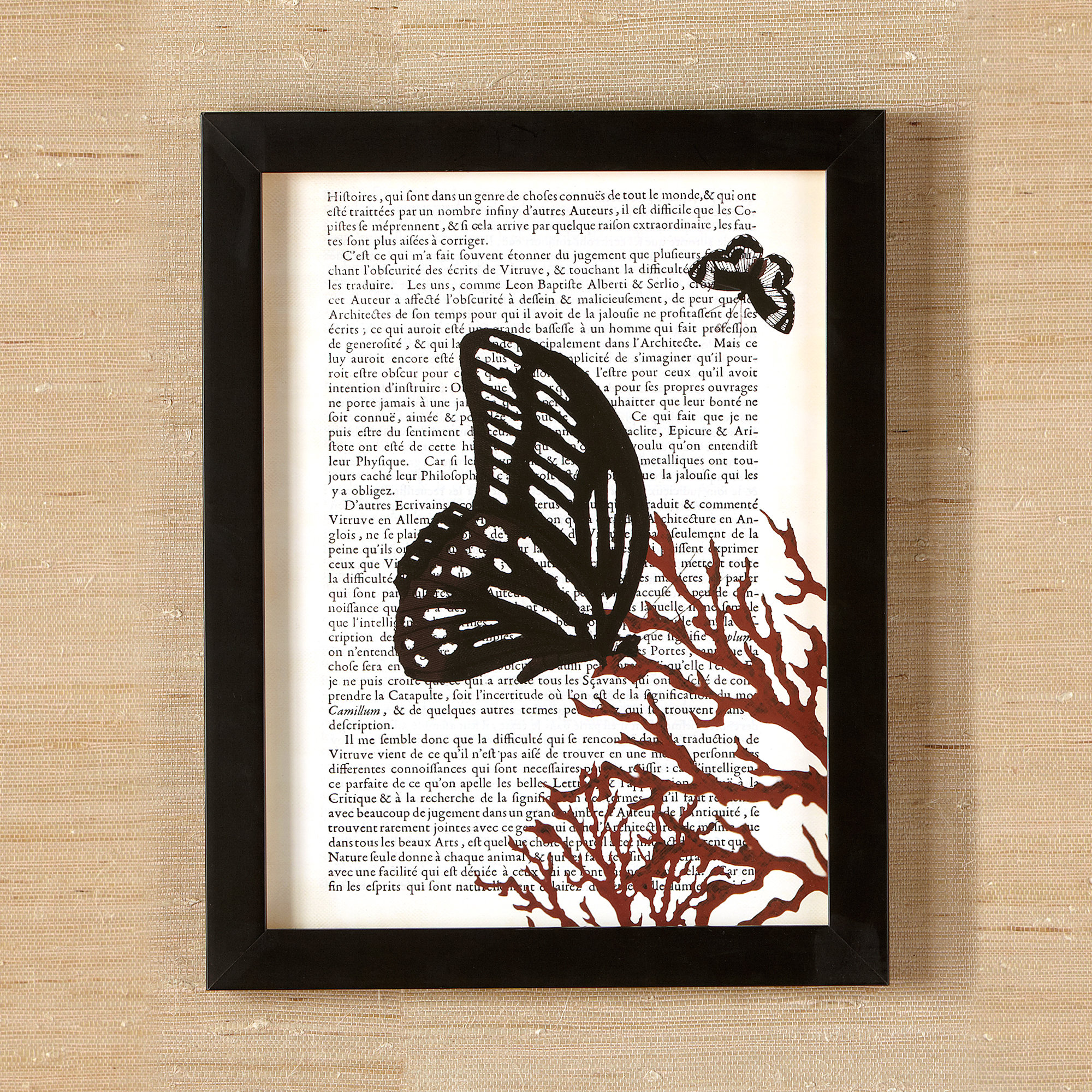 Birch Lane Literary Butterfly Framed Print Collection Birch Lane