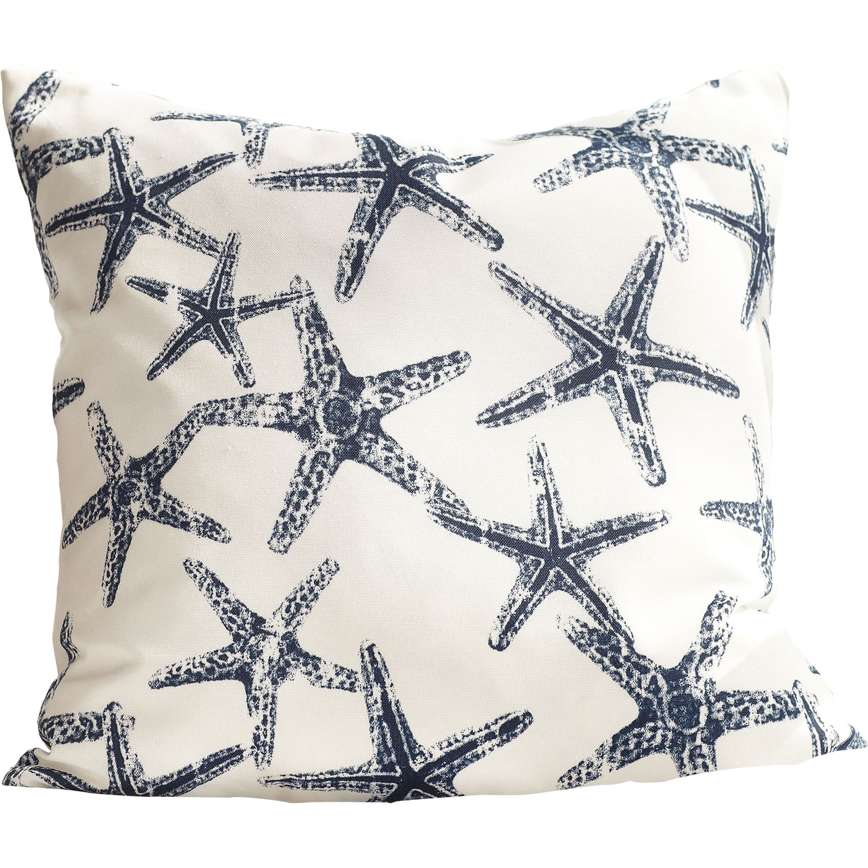 Birch Lane Noah Outdoor Pillow & Reviews Wayfair