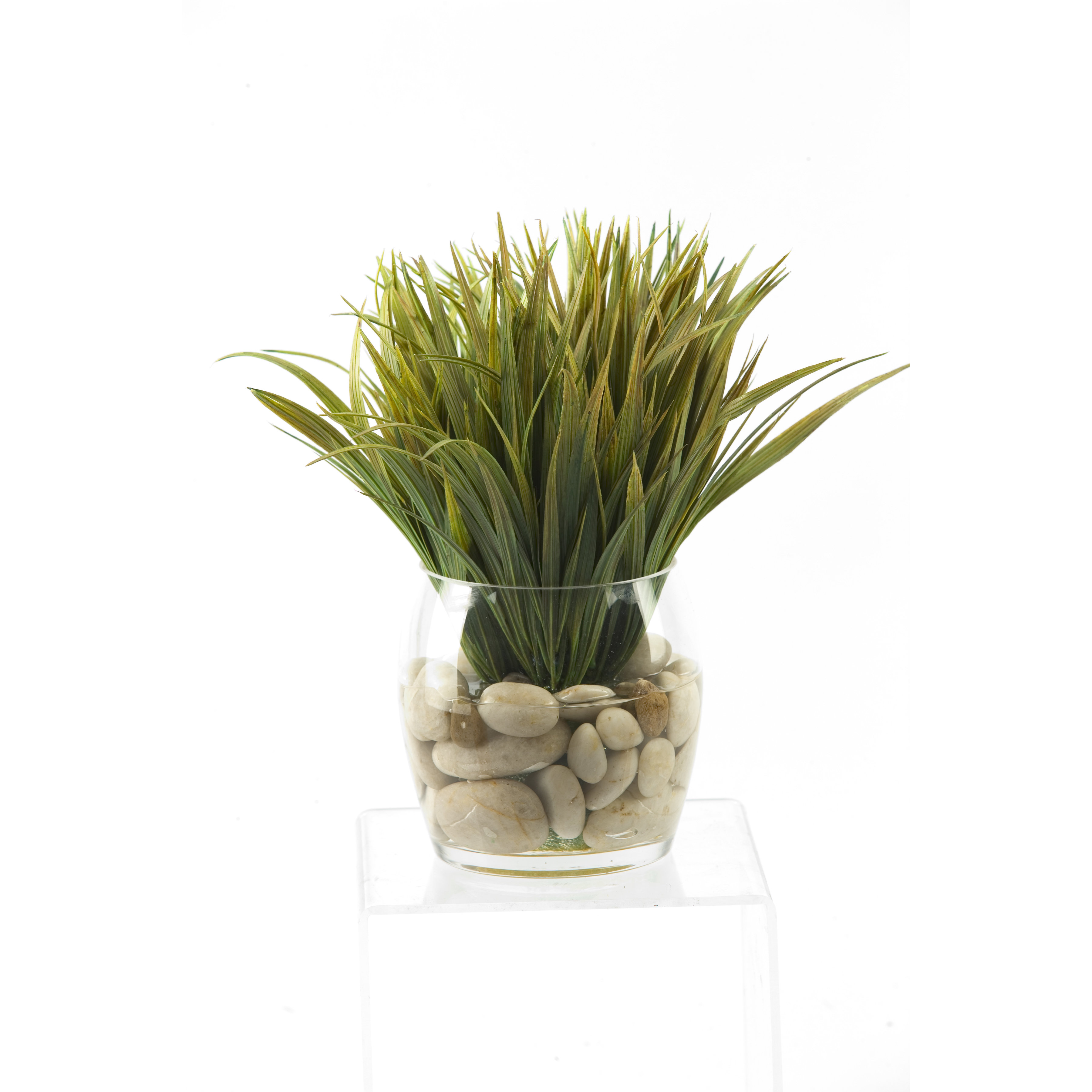 D & W Silks Wild Grass in Round Glass Decorative Vase & Reviews Wayfair