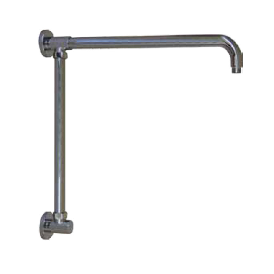 Vertical Riser with 17" Shower Arm Wayfair