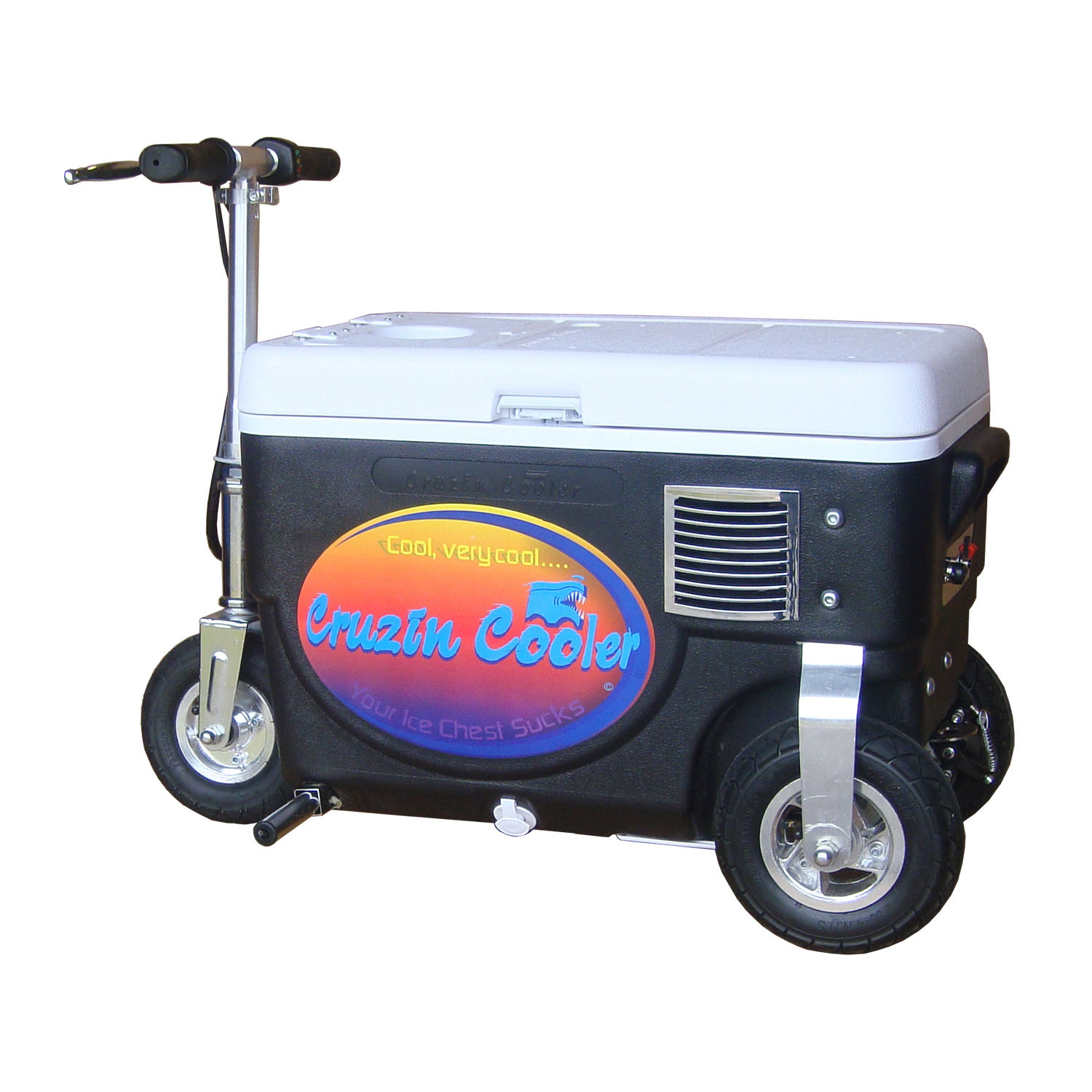 30 Qt. 1000W Scooter Electric Cooler Wayfair
