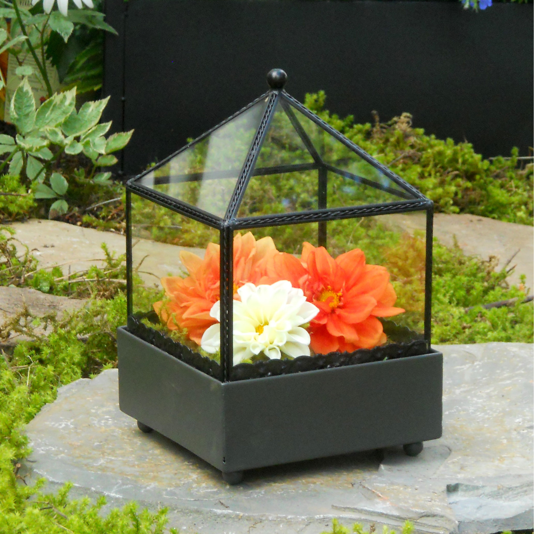 Square Terrarium Wayfair