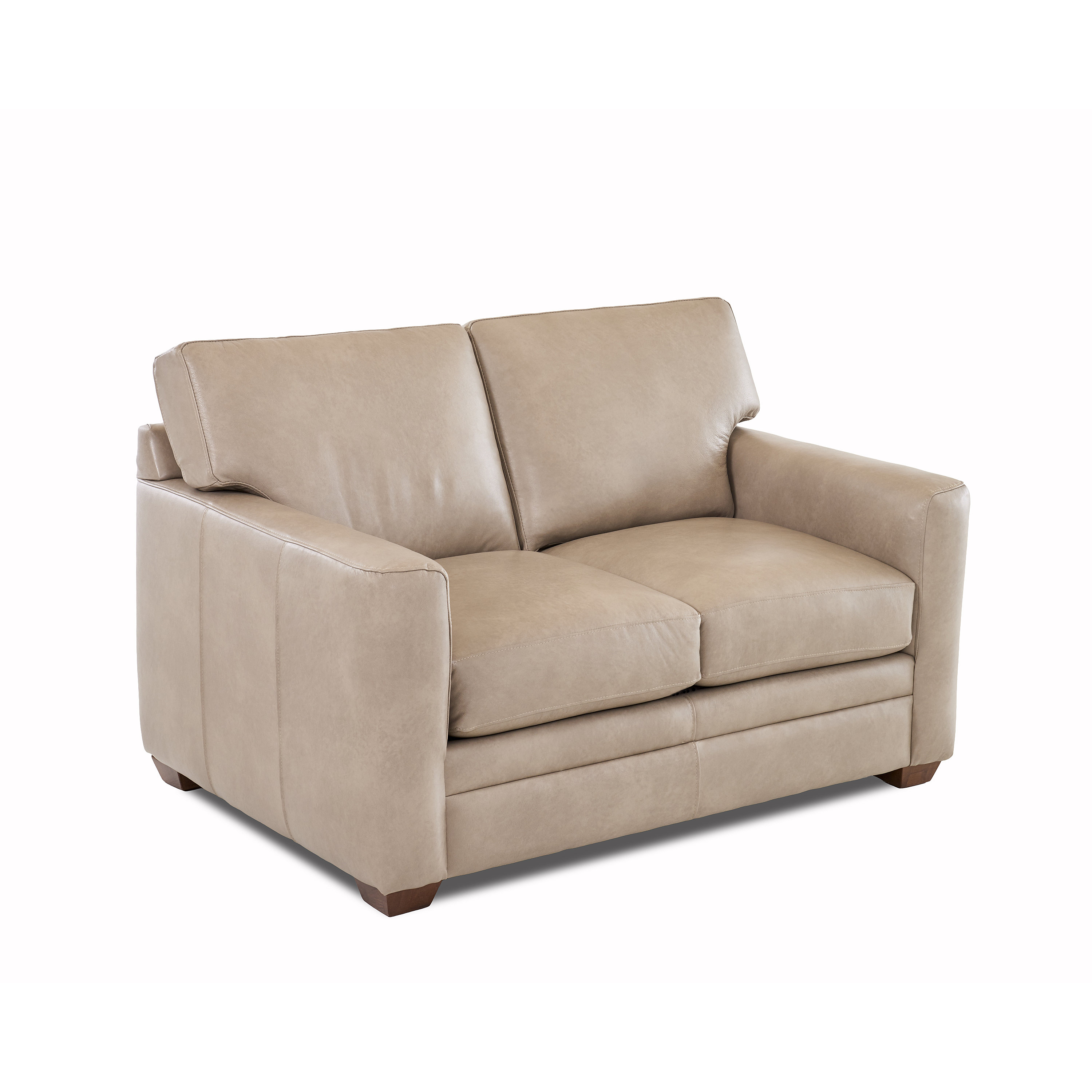 Wayfair Custom Upholstery Jennifer Leather Sleeper Sofa & Reviews | Wayfair