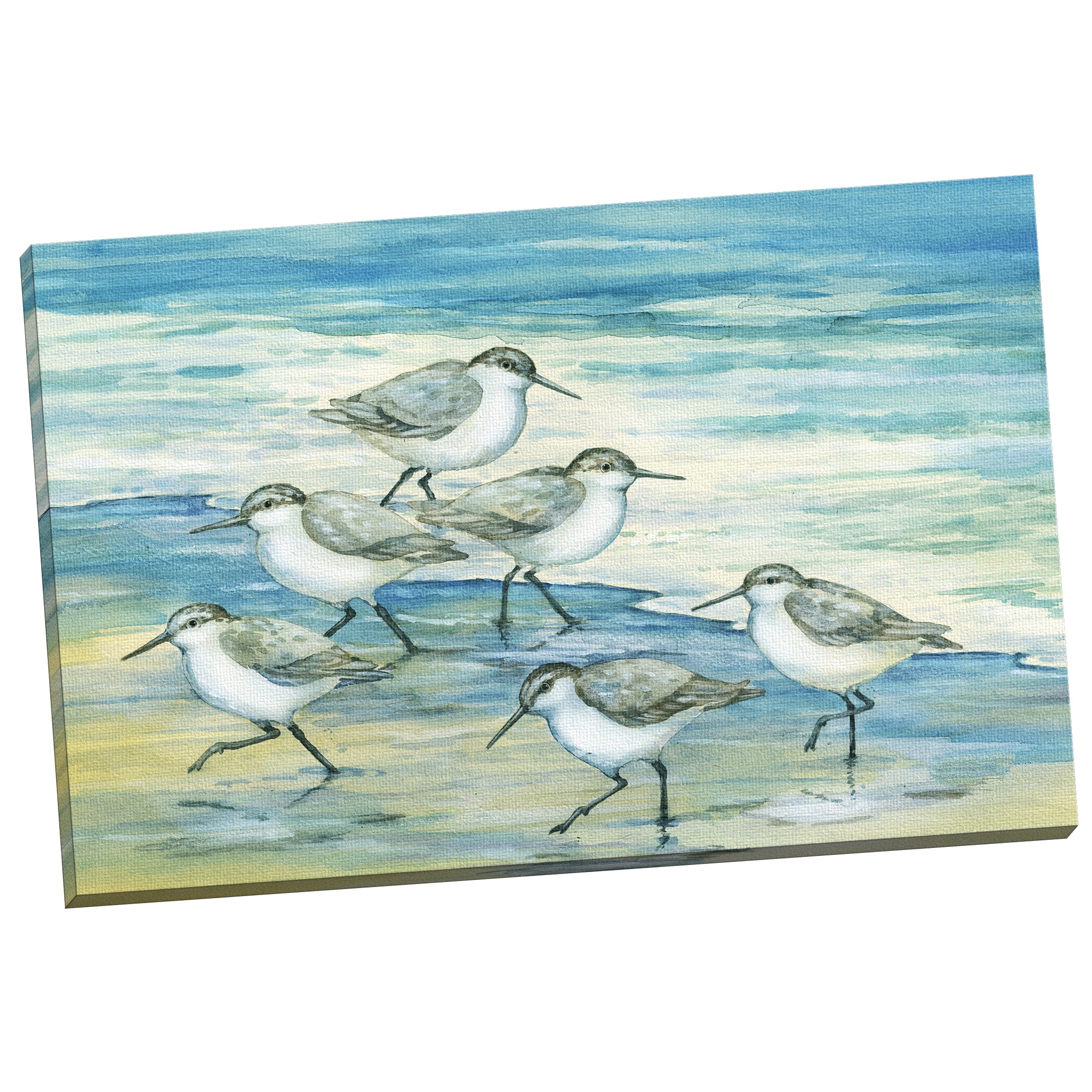 Portfolio Canvas Surfside Sandpiper by Paul Brent Painting Print on ...