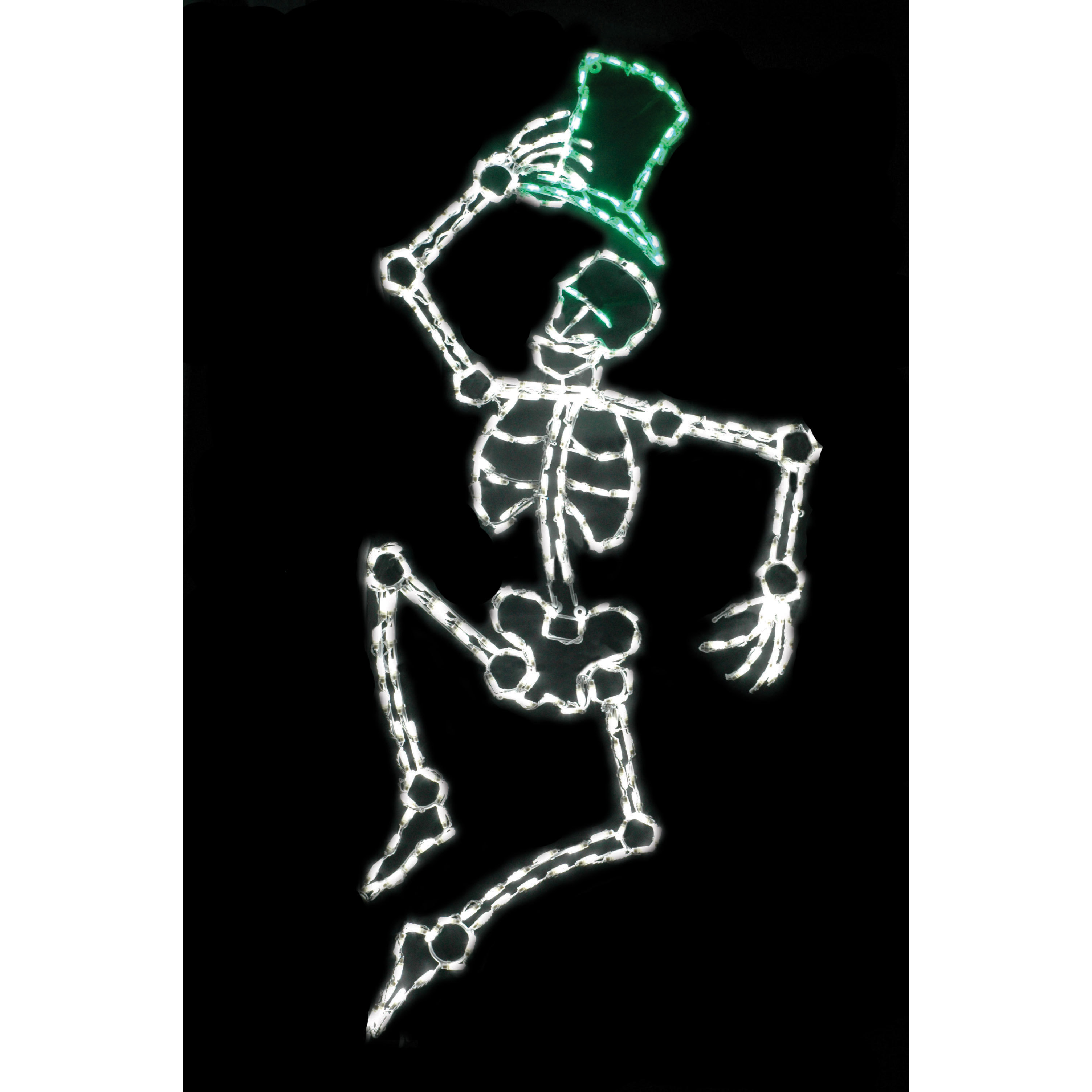 Dancing Skeleton LED Light Wayfair