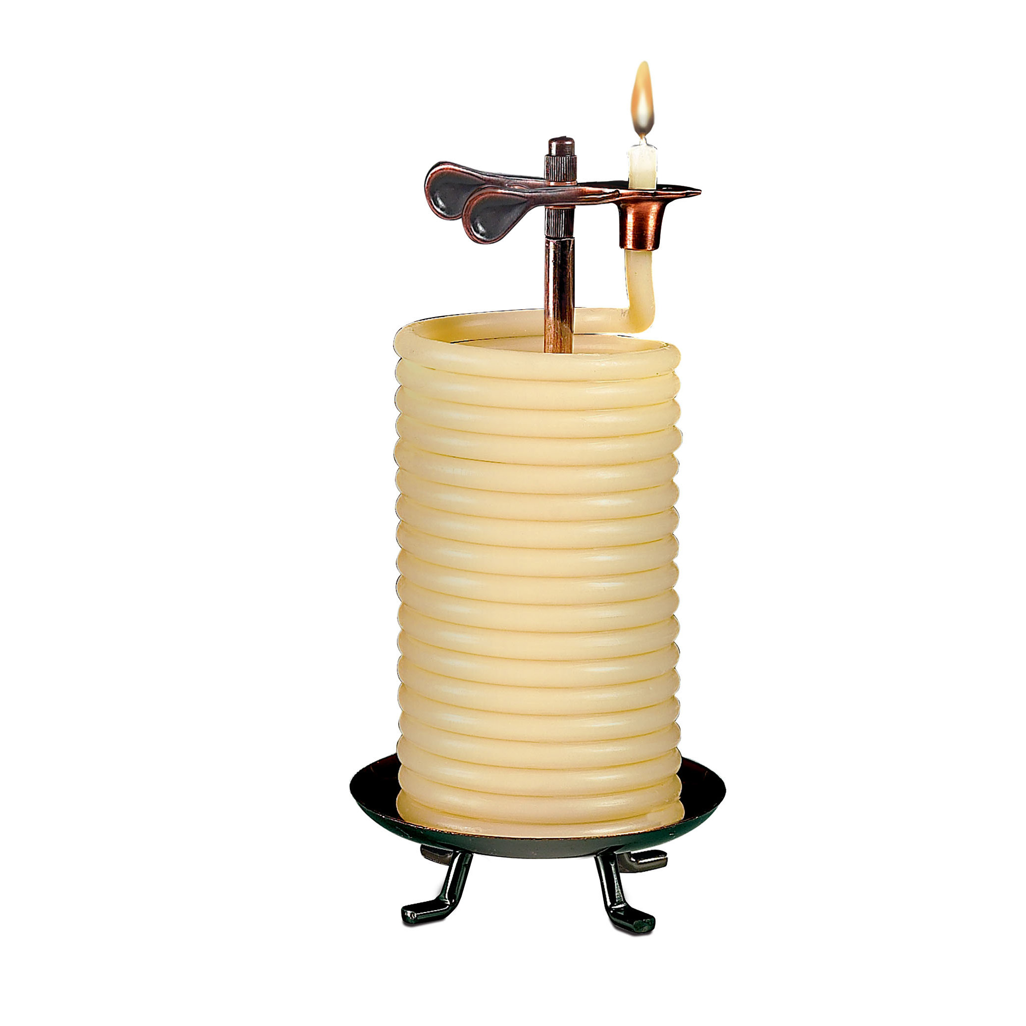 Candle By The Hour Citronella Designer Candle & Reviews Wayfair